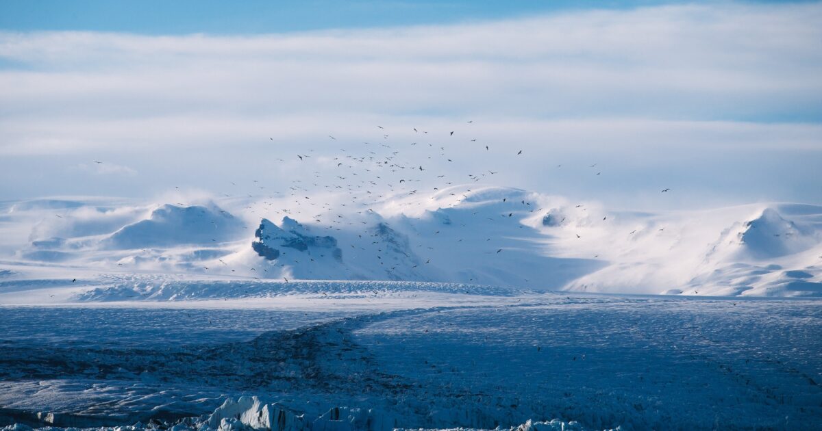 Snowpace Åtte nye prosjekt til… | Bjerknes Centre for Climate Research