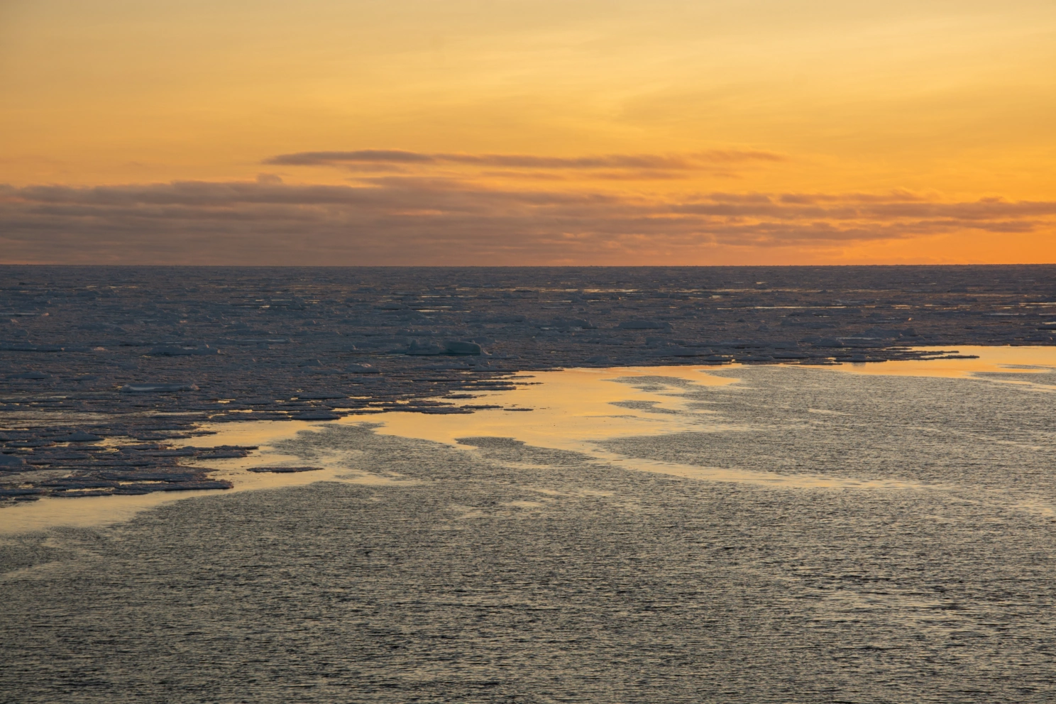 Selv om bruk av freoner og andre KFK-gasser fases ut, finnes de fremdeles i havet og atmosfæren. Illustrasjonsbilde: