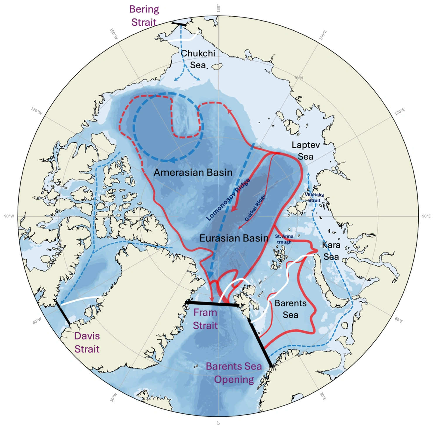 Vann fra Atlanterhavet (rødt) strømmer inn i Polhavet gjennom Framstredet og mellom Norge og Svalbard. Noe av dette vannet omdannes til dypvann før det strømmer tilbake sørover. Dypvannet bidrar til å holde det store systemet av havstrømmer i Atlanterhavet i gang. De hvite kurvene markerer gjennomsnittlig isgrense.