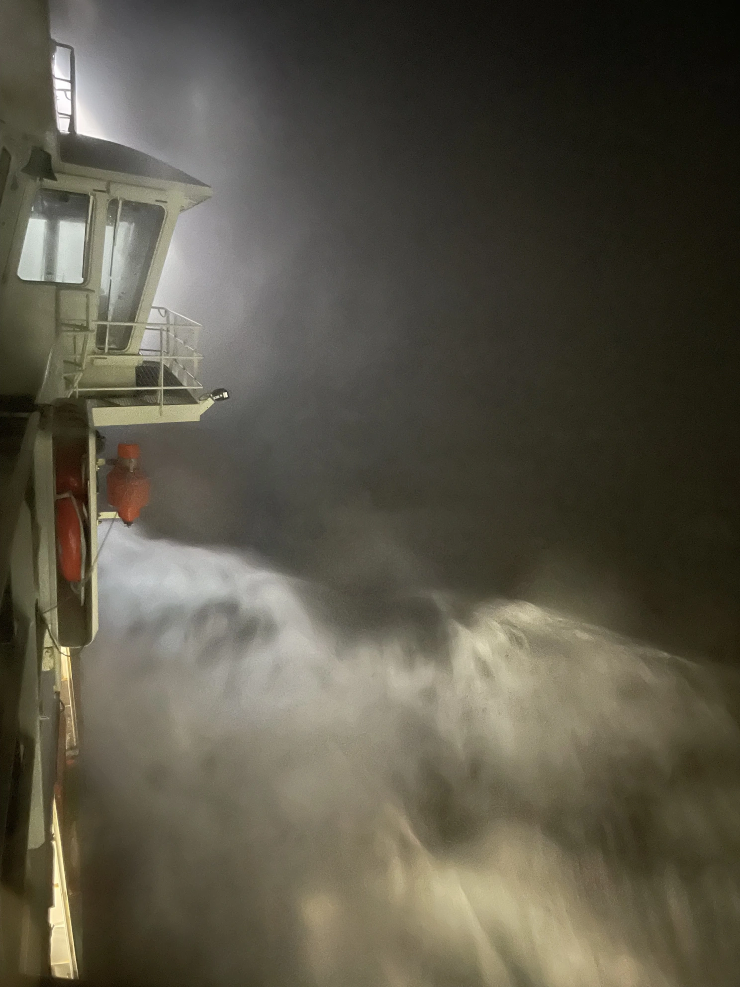 Heavy going in the Greenland Sea. Photo credit: Erika Giorgi