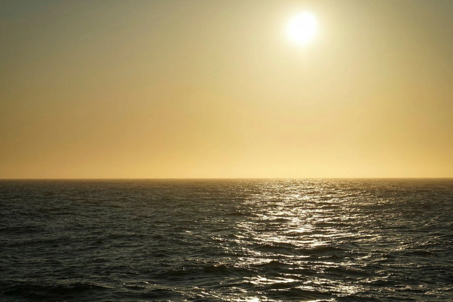 Sun around the clock, clear skies, calm water, and abnormal conditions in the North Atlantic last year. Illustration photo: Stine Hommedal / IMR