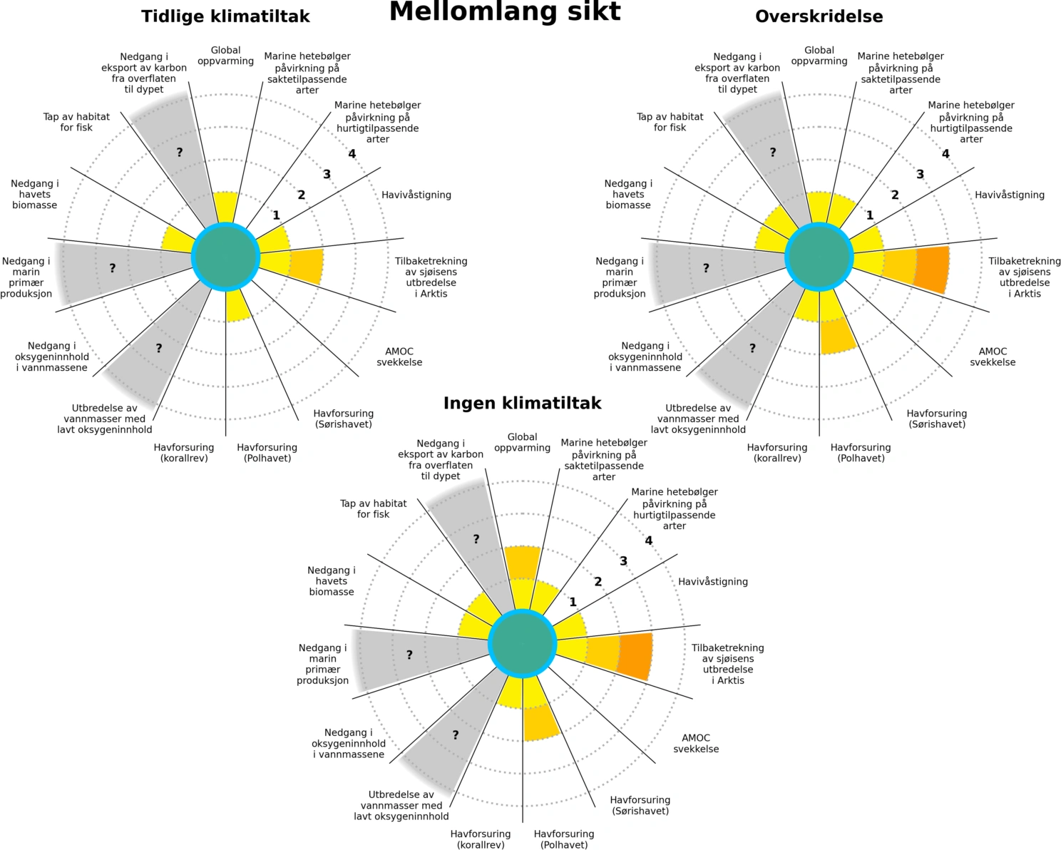 kartlegging timothee middels langt perspektiv